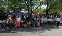 Salvation Army fights the war on hunger in West Park with produce distribution